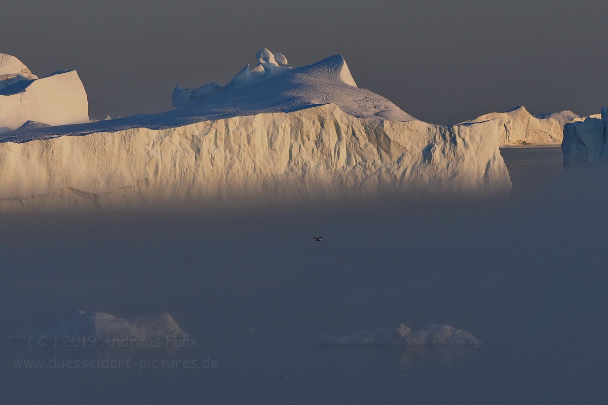 Grönland Kreuzfahrt MS Hamburg Ilulissat Eisfjord