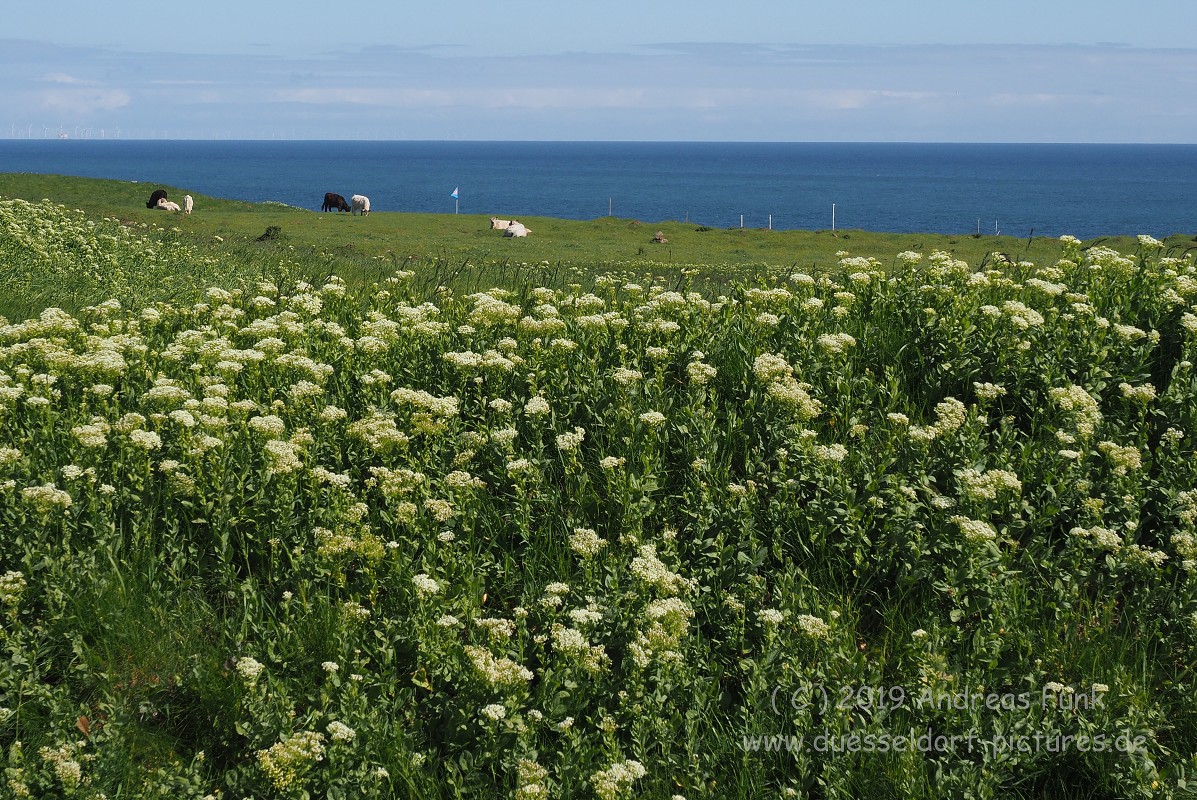 Helgoland, das Oberland