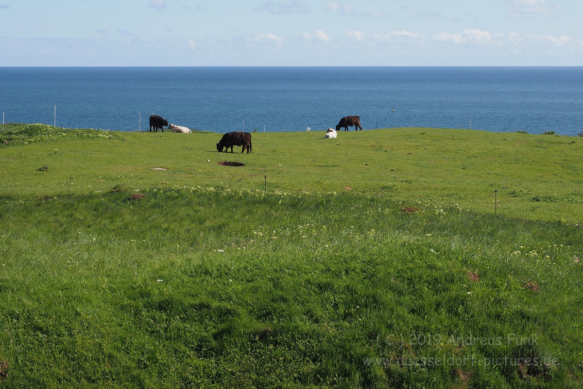 Helgoland, das Oberland