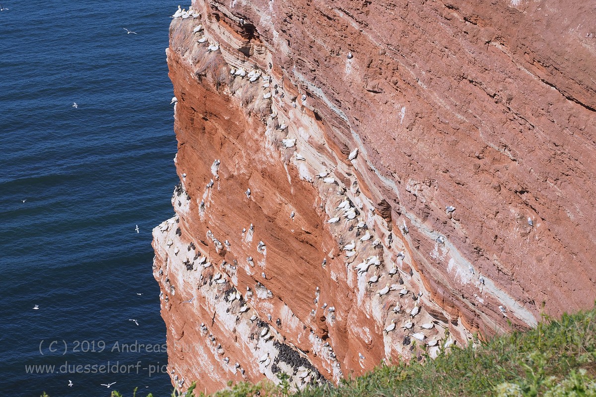 Helgoland, das Oberland