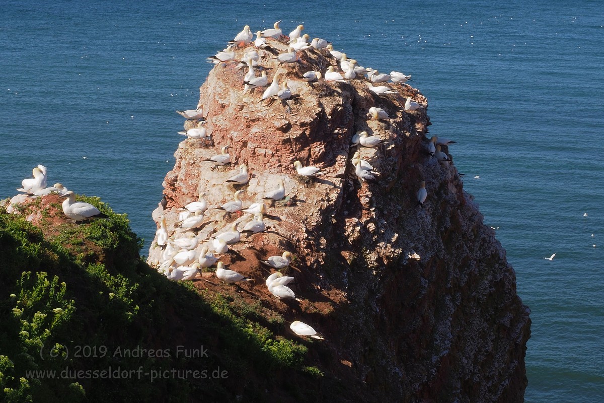 Helgoland, das Oberland