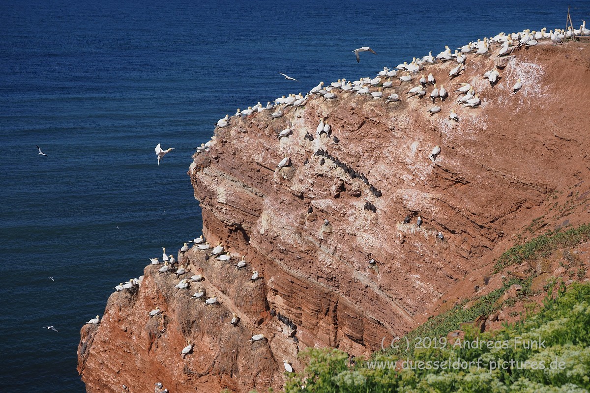 Helgoland, das Oberland