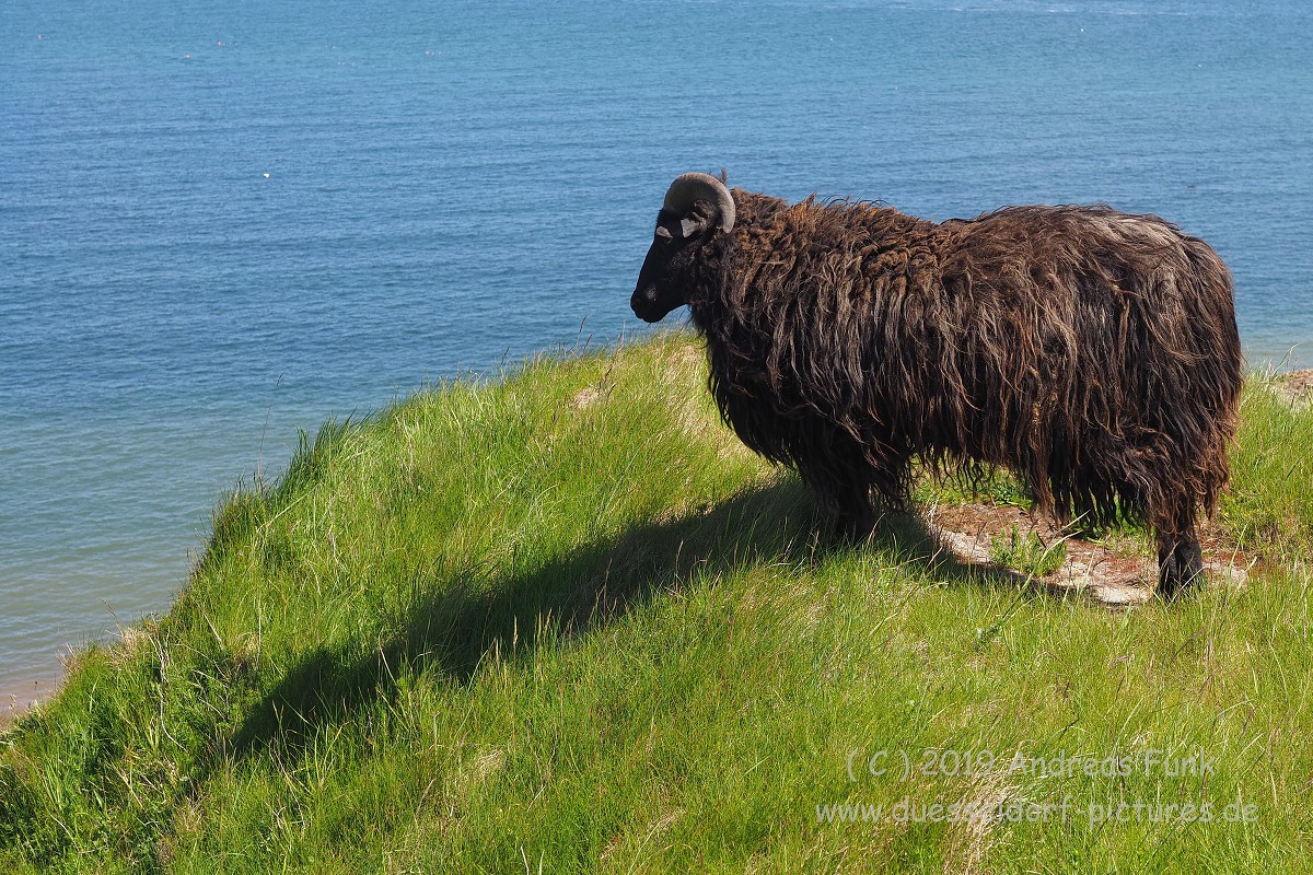 Helgoland, das Oberland