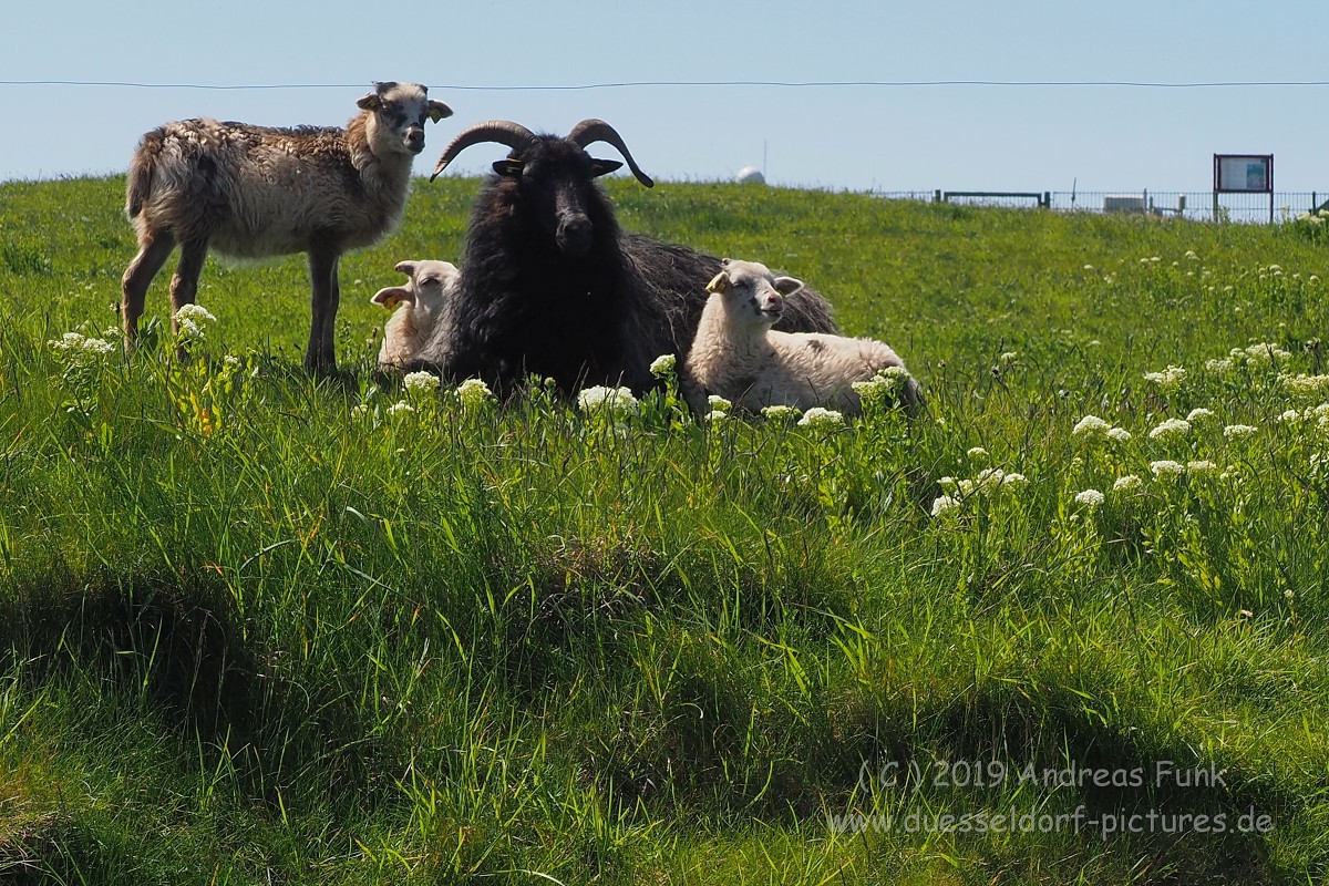 Helgoland, das Oberland