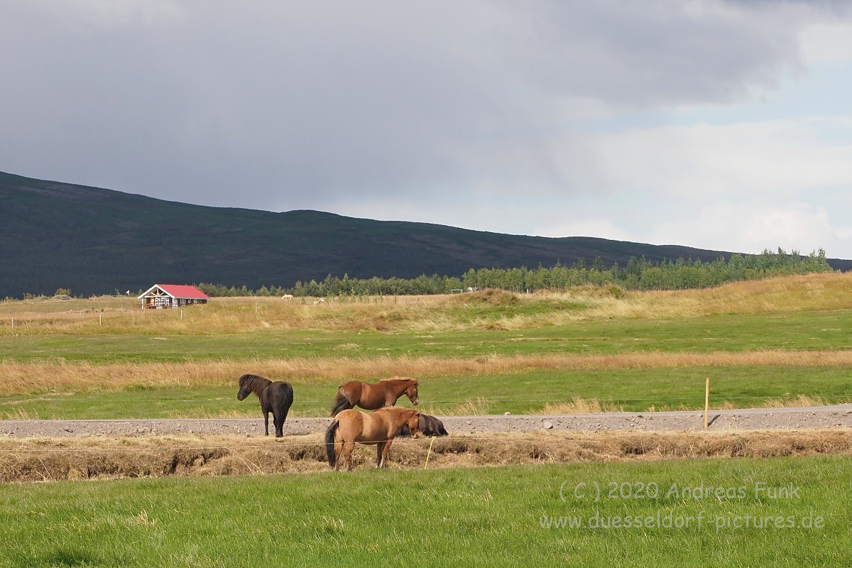 Island, Golden Circle Tour 