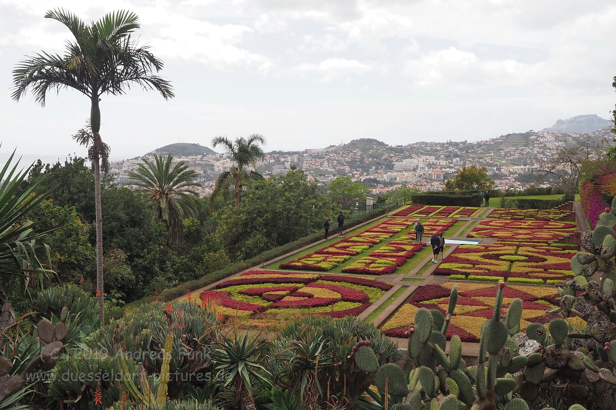 Madeira Funchal