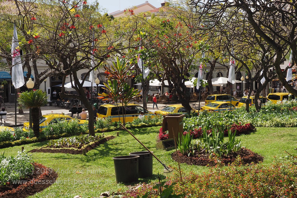 Madeira Funchal