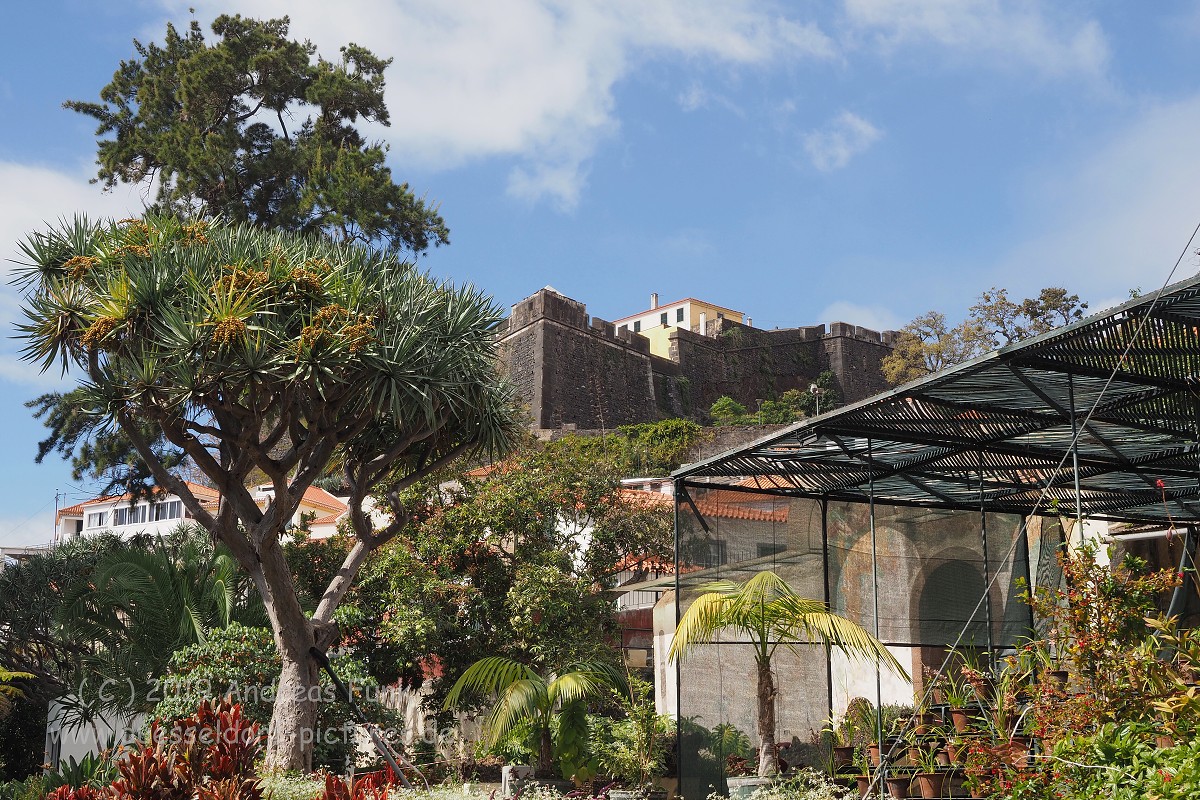 Madeira Funchal