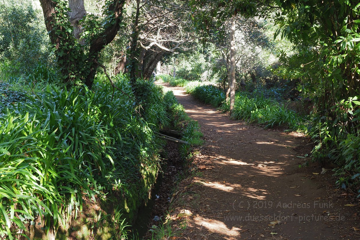 Madeira Levadawanderung Serra do Faial 