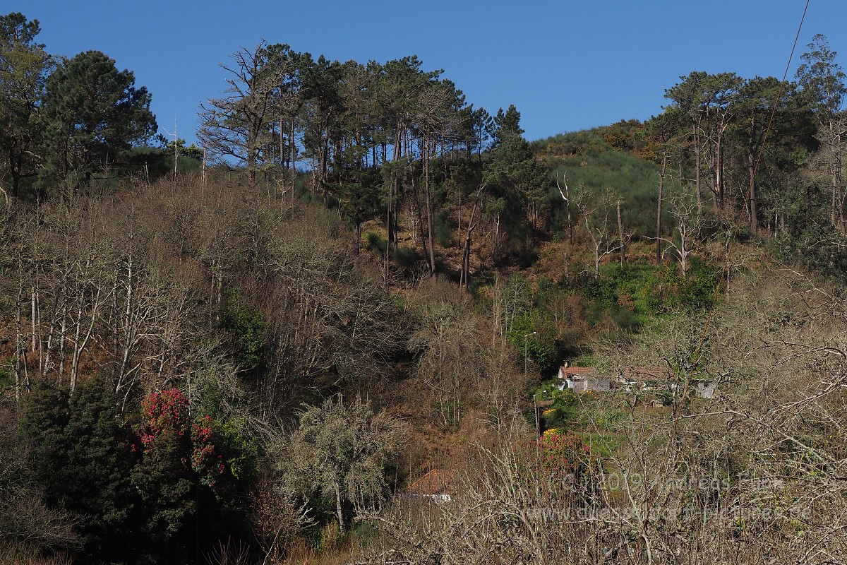 Madeira Levadawanderung Serra do Faial 