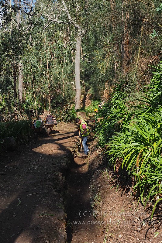 Madeira Levadawanderung Serra do Faial 