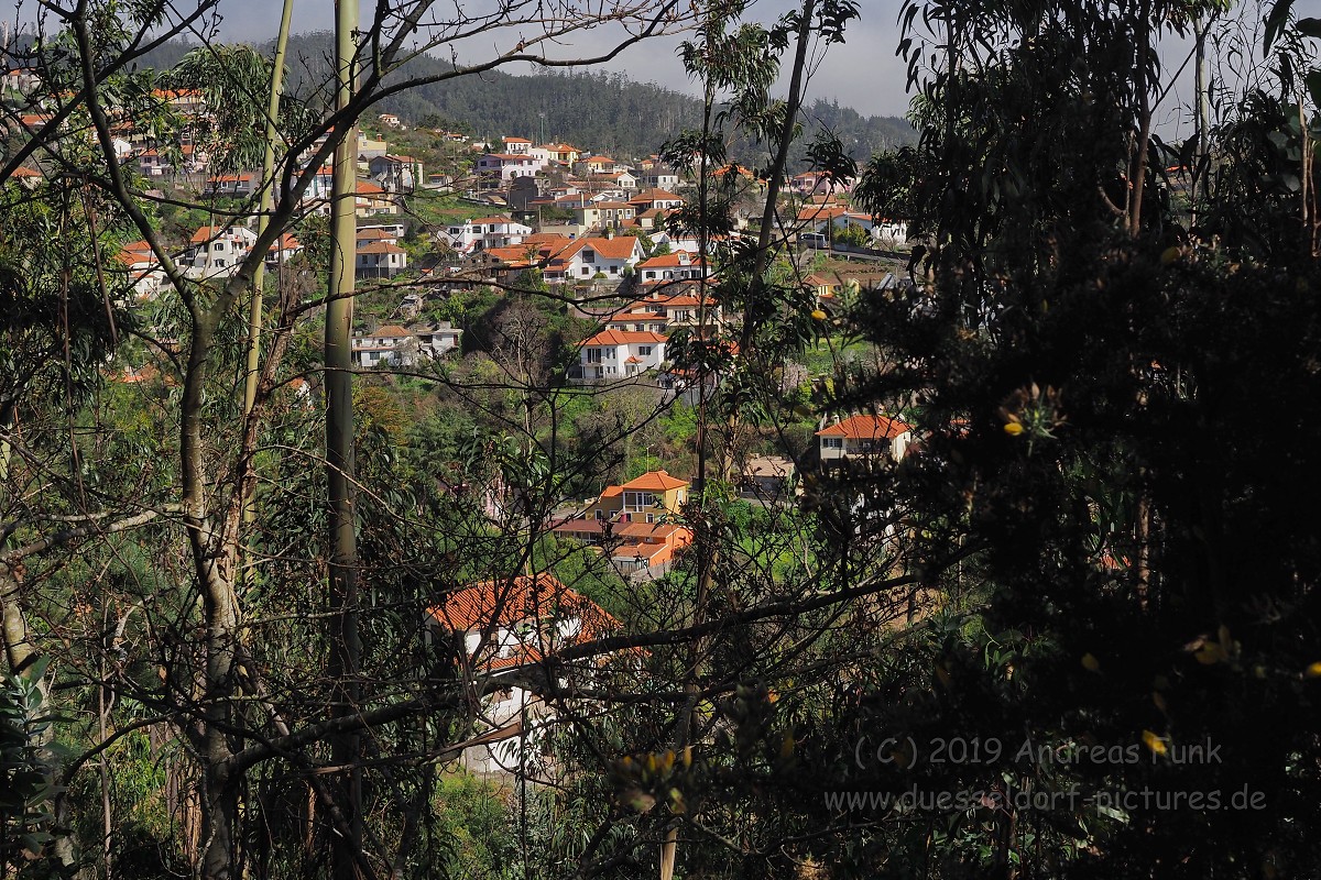 Madeira Levadawanderung Serra do Faial 