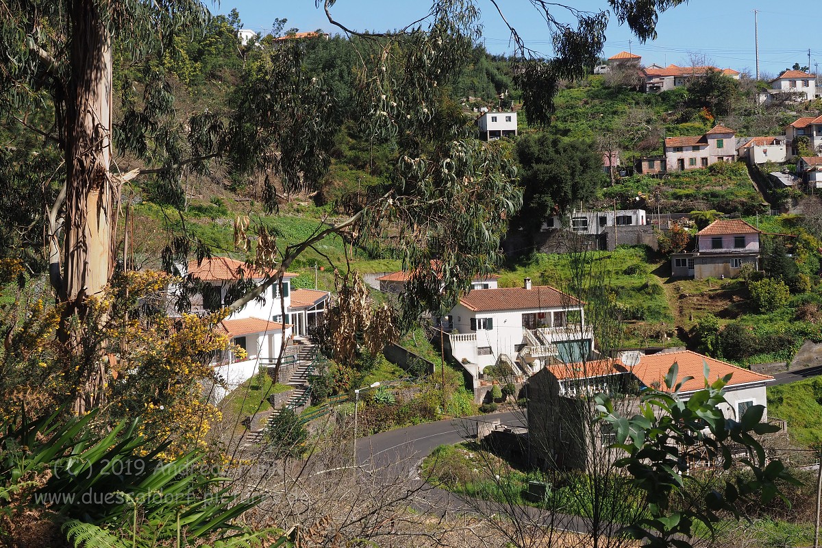 Madeira Levadawanderung Serra do Faial 