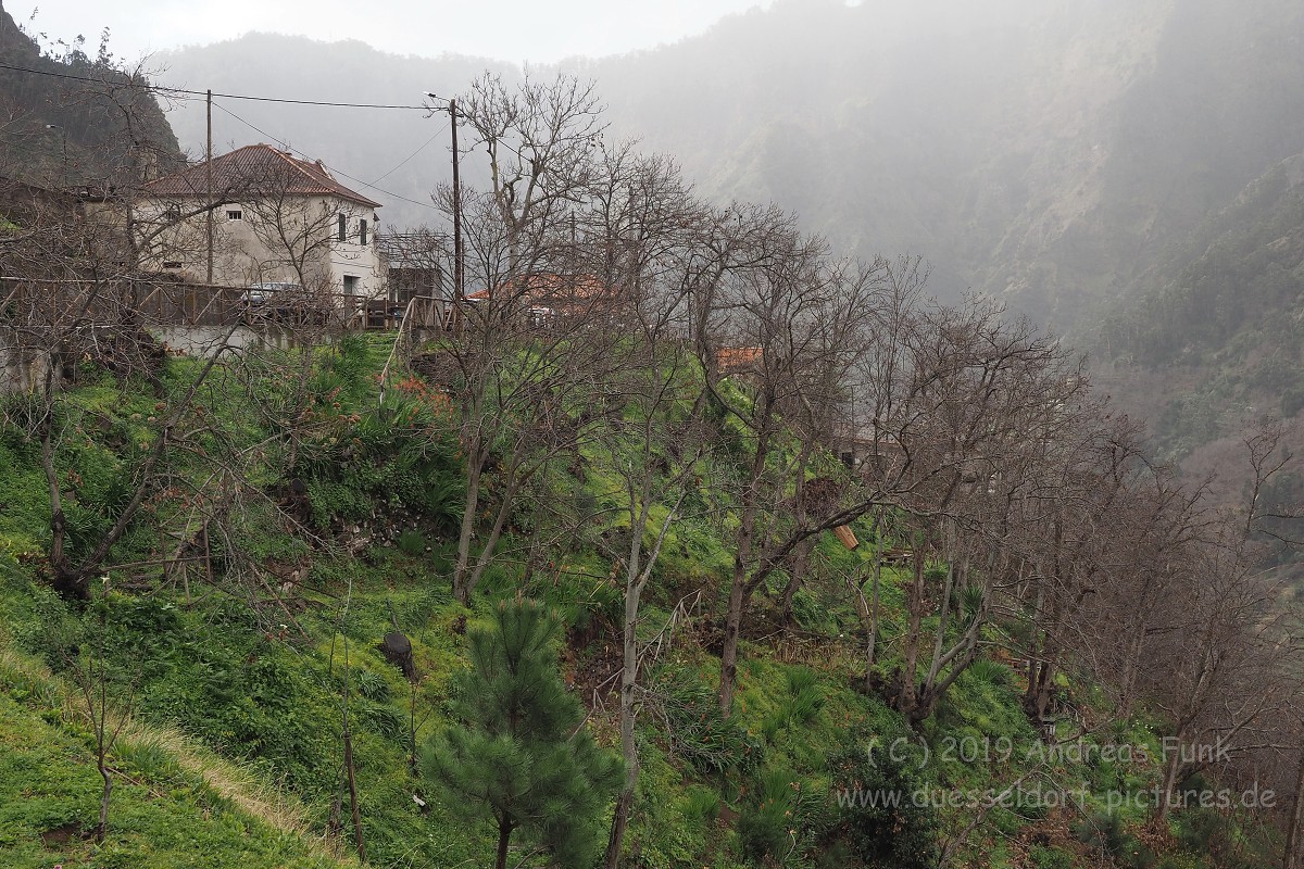 Madeira Nonnental