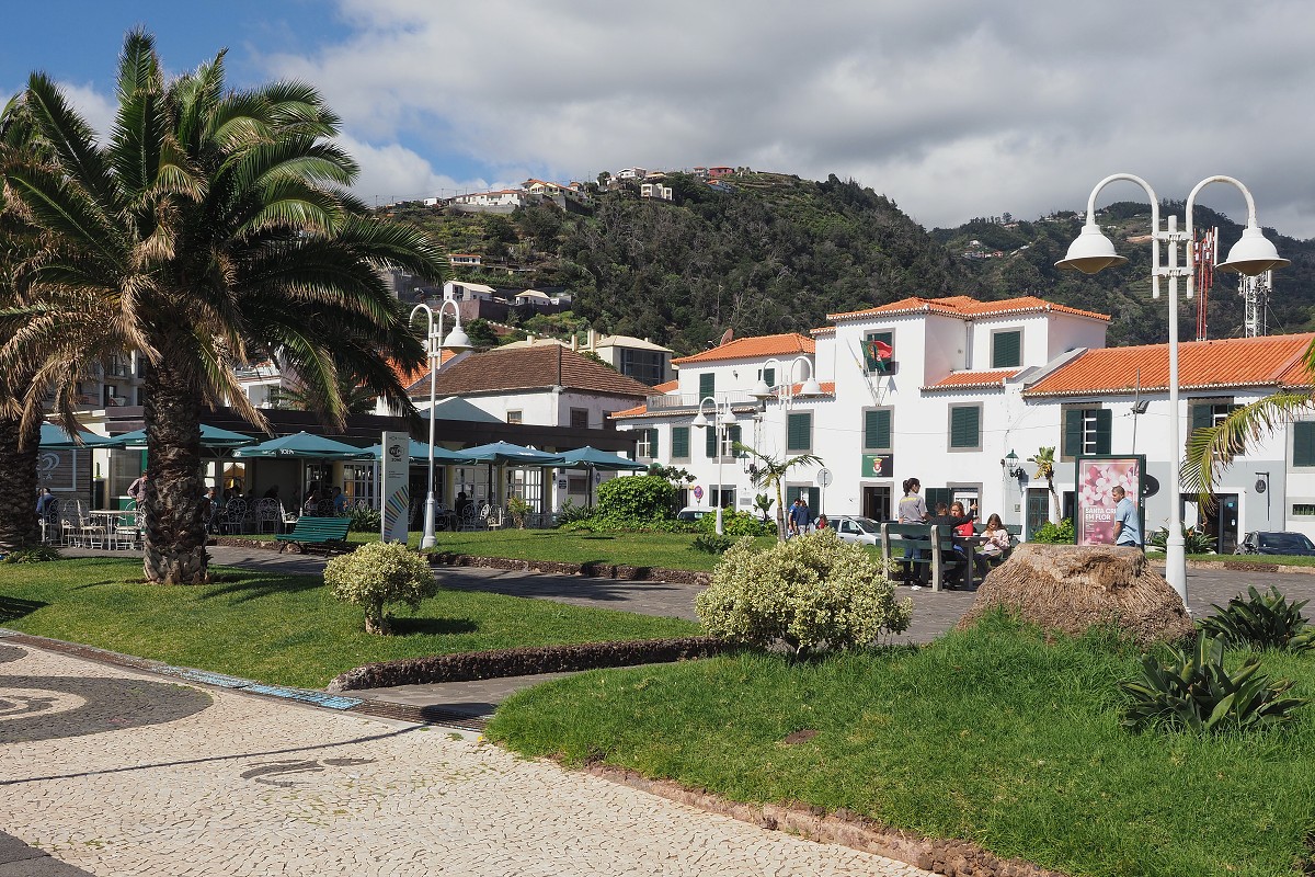 Madeira Santa Cruz