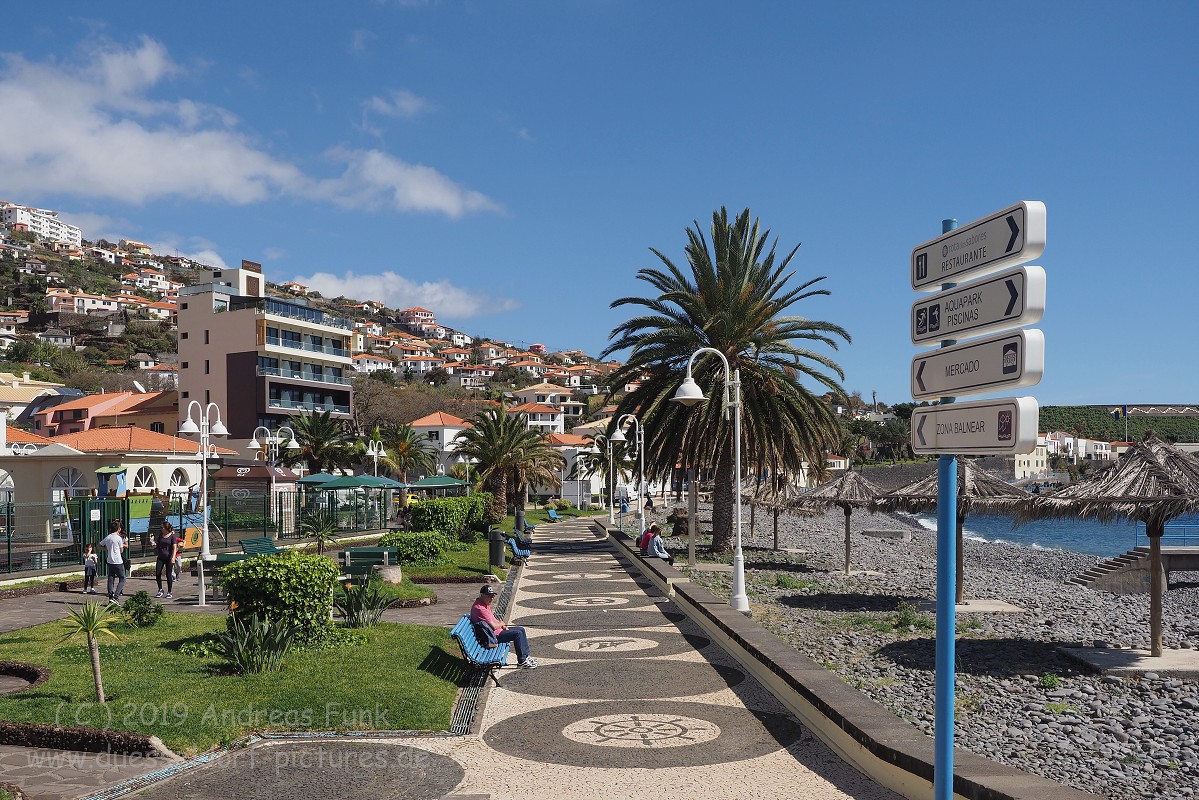 Madeira Santa Cruz