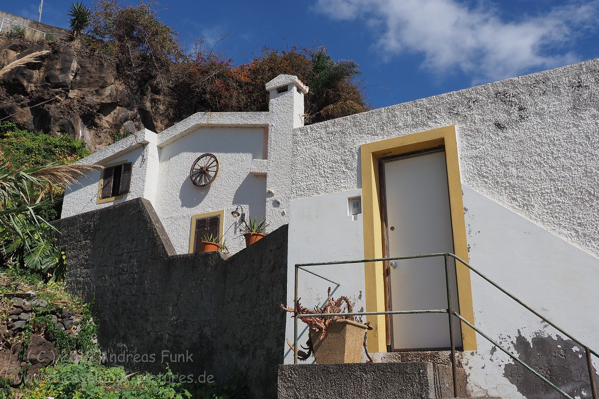 Madeira Santa Cruz