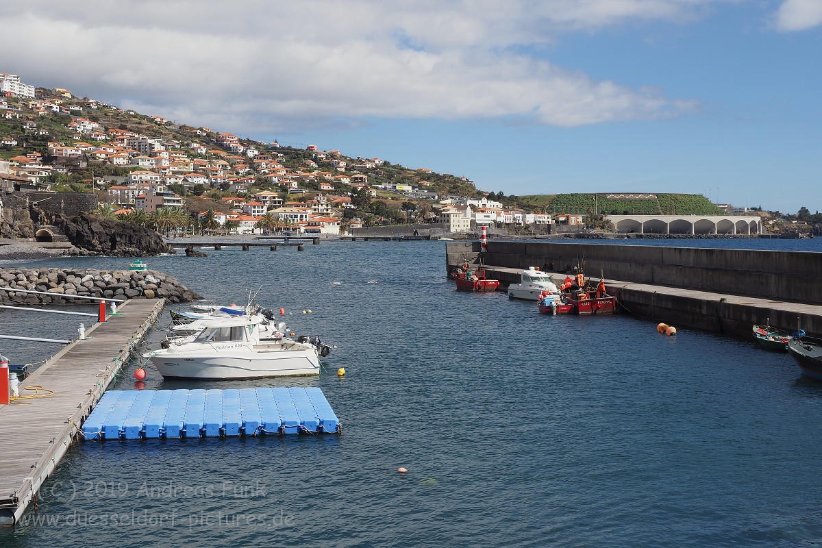 Madeira Santa Cruz