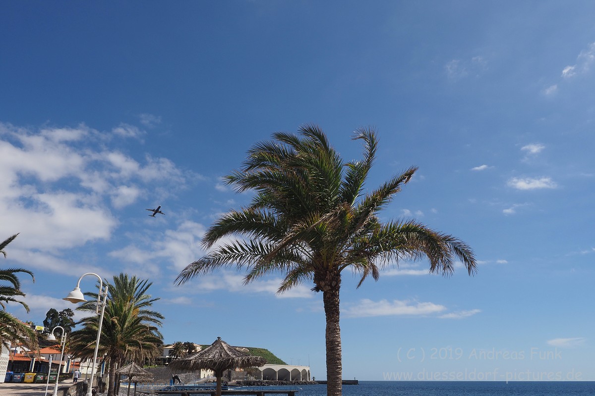 Madeira Santa Cruz