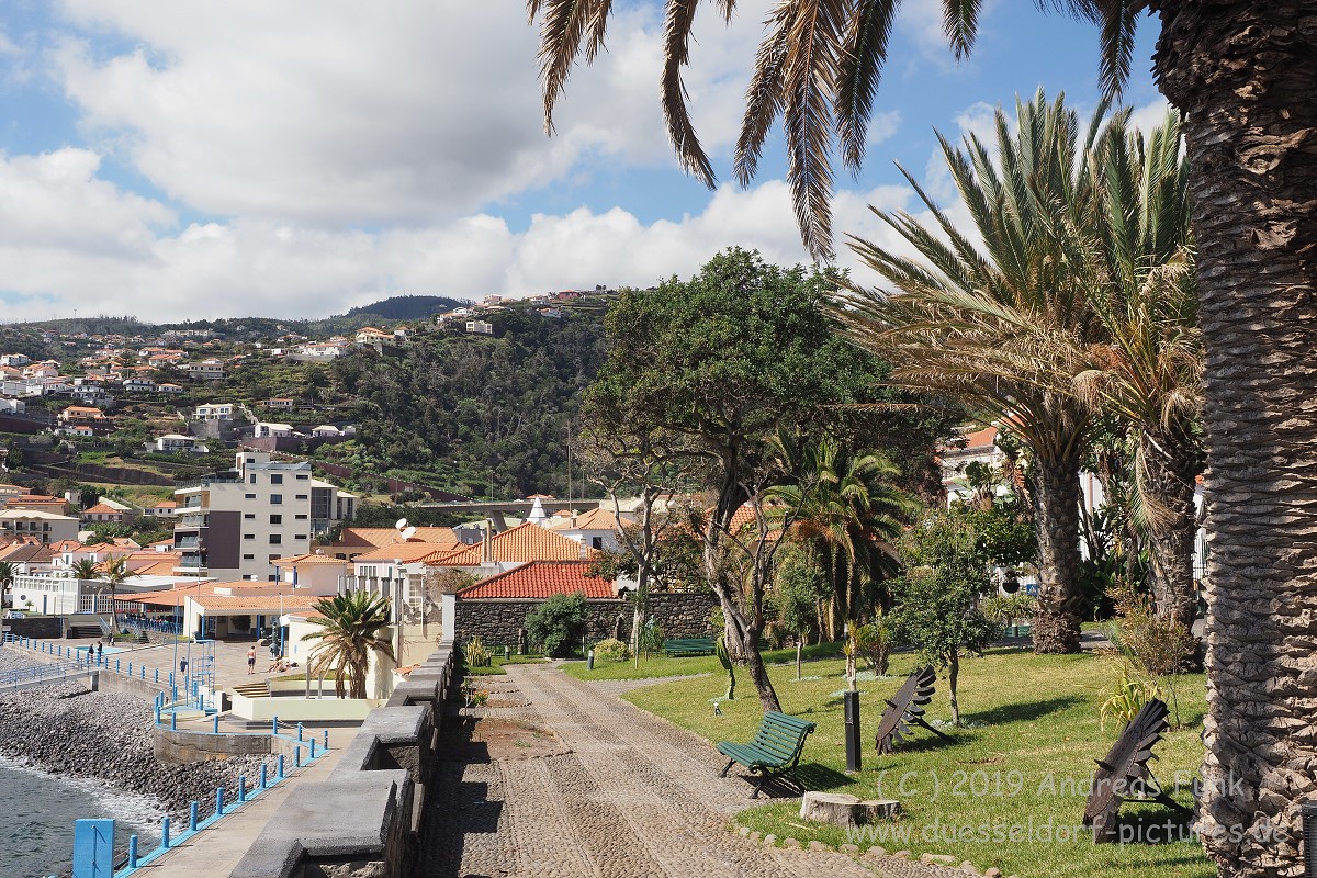 Madeira Santa Cruz