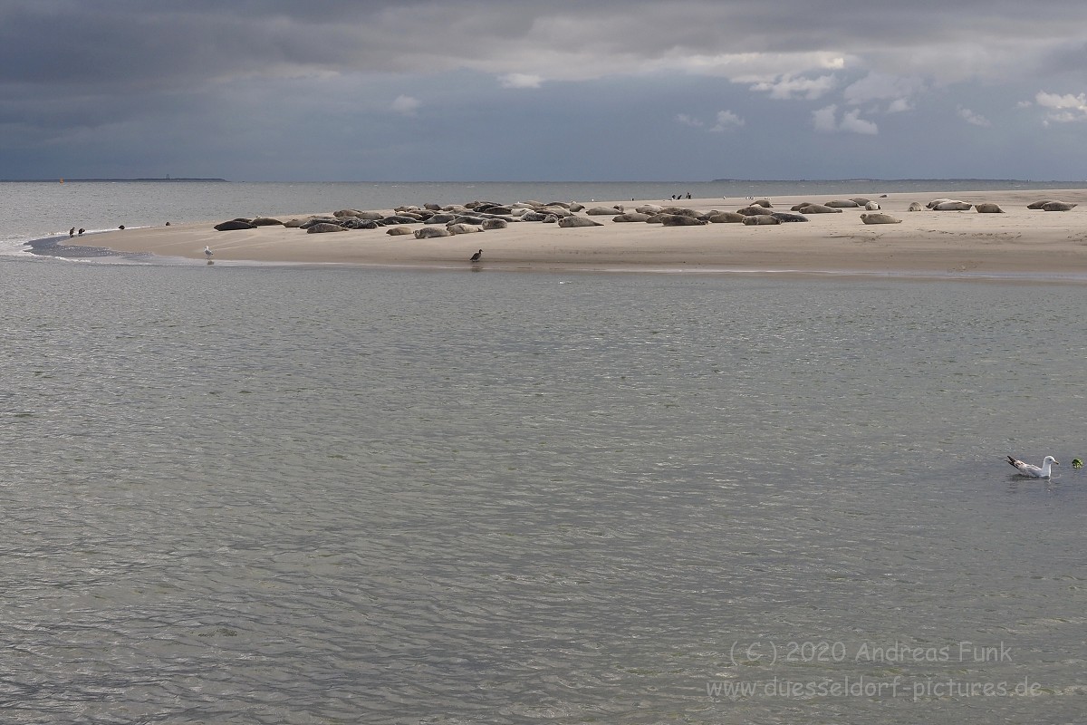 Nordsee Insel Borkum Juni 2020 