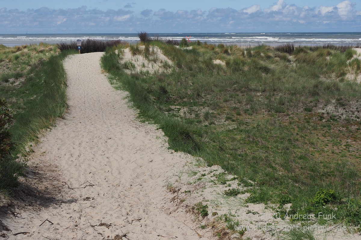 Nordsee Insel Borkum Juni 2020 