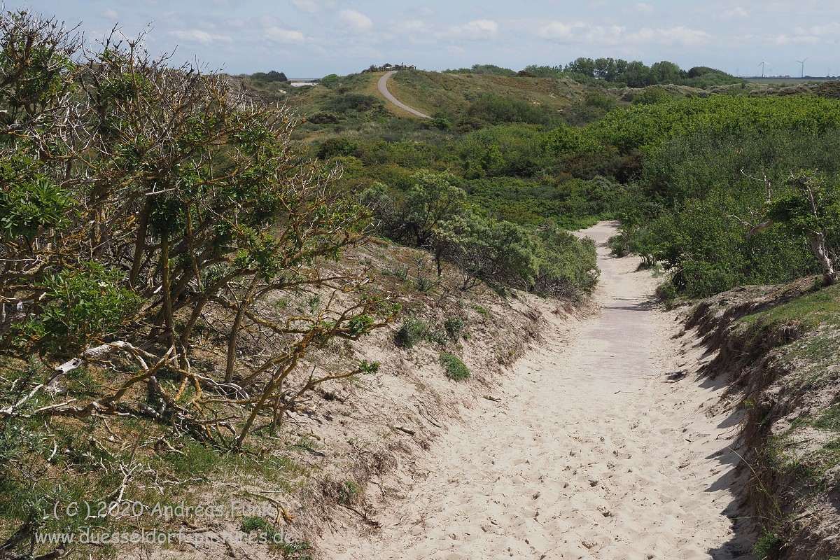 Nordsee Insel Borkum Juni 2020 