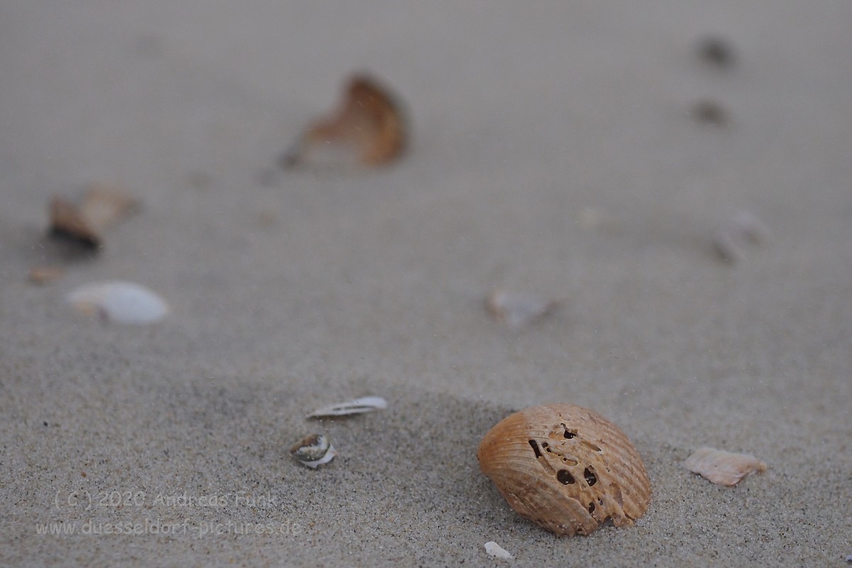 Nordsee Insel Borkum Juni 2020 