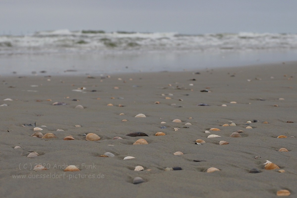 Nordsee Insel Borkum Juni 2020 