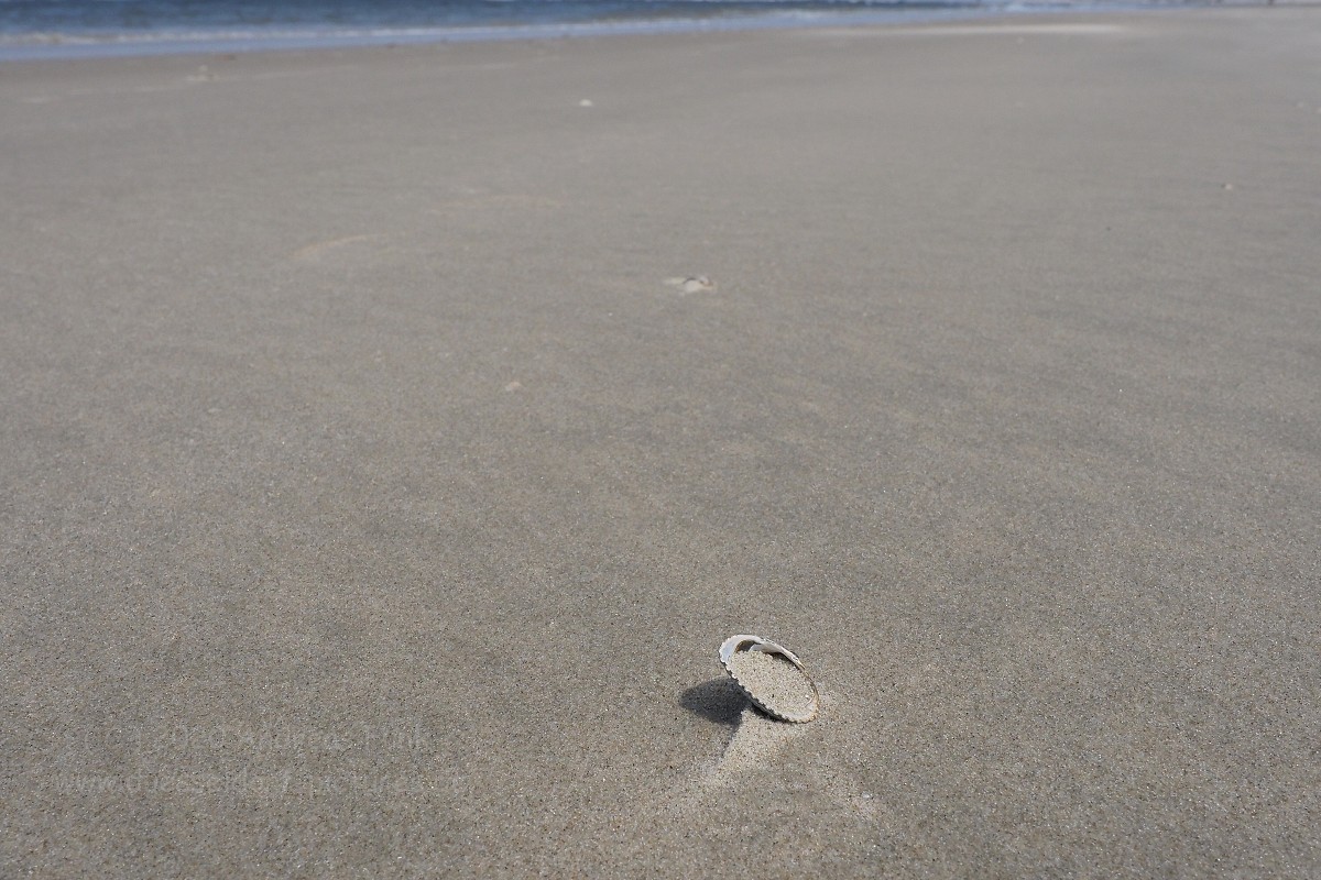 Nordsee Insel Borkum Juni 2020 