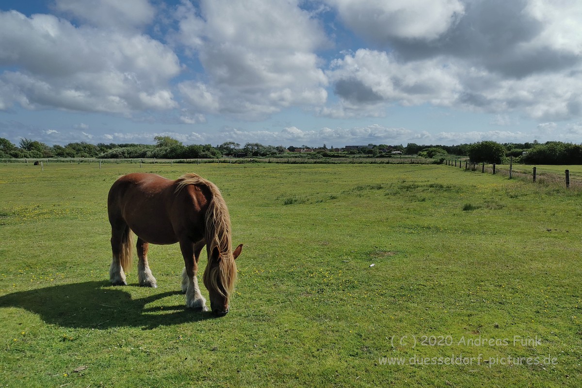 Nordsee Insel Borkum Juni 2020 