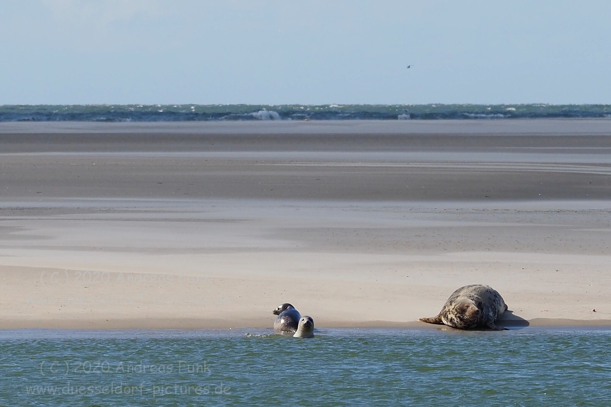 Borkum September 2020