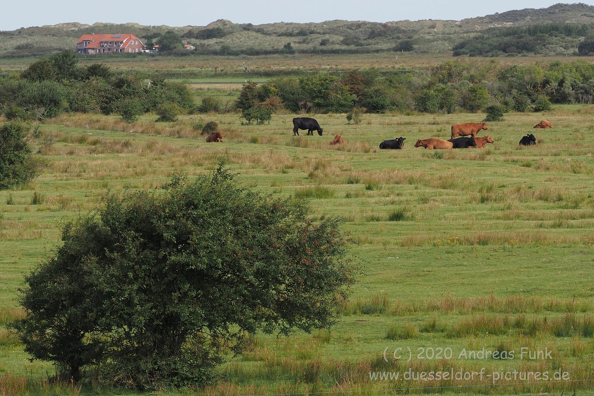 Borkum September 2020