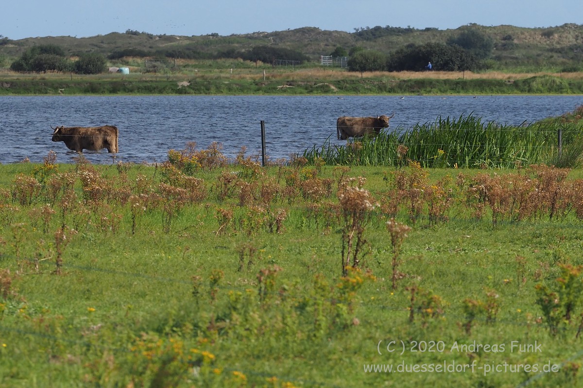 Borkum September 2020