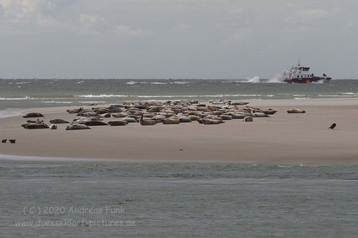 Borkum September 2020