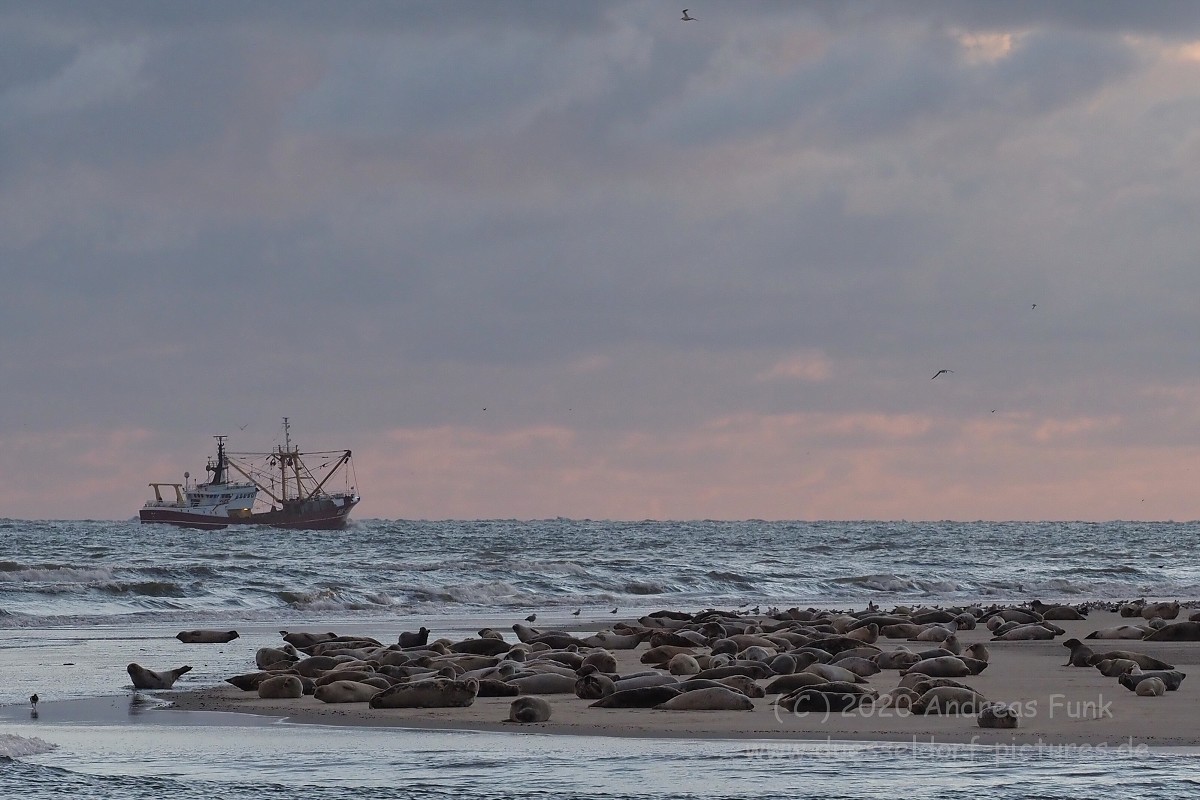 Borkum September 2020