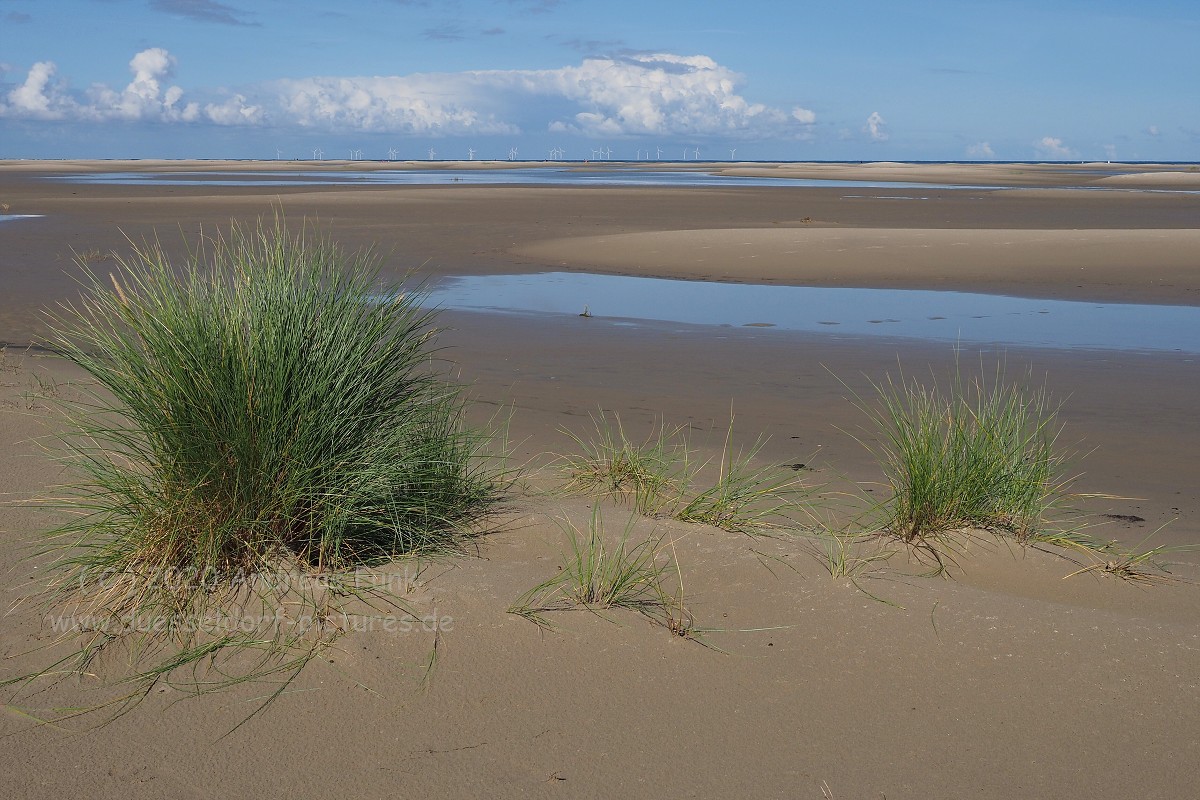 Borkum September 2020