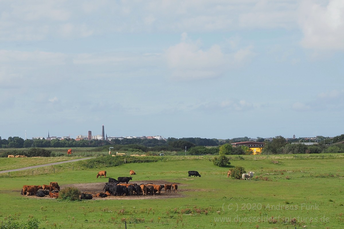 Borkum September 2020