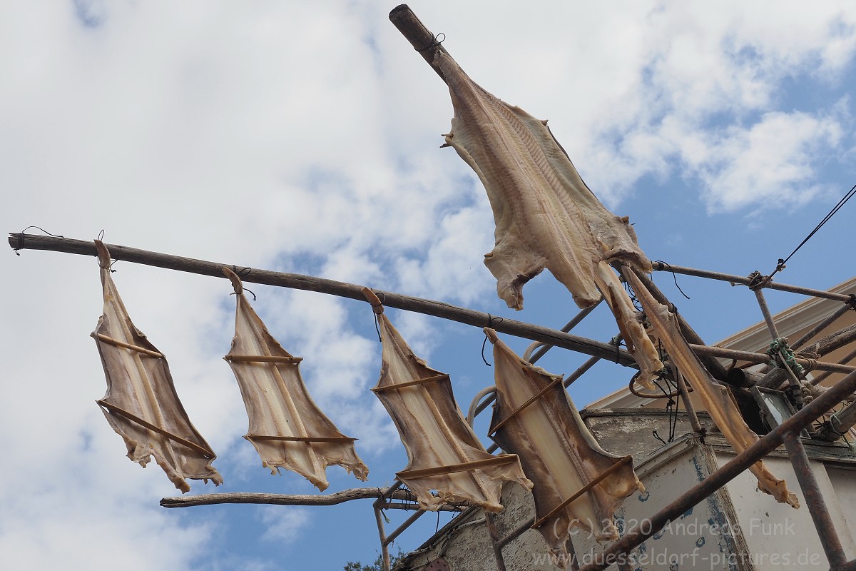 Camara de Lobos,  Madeira