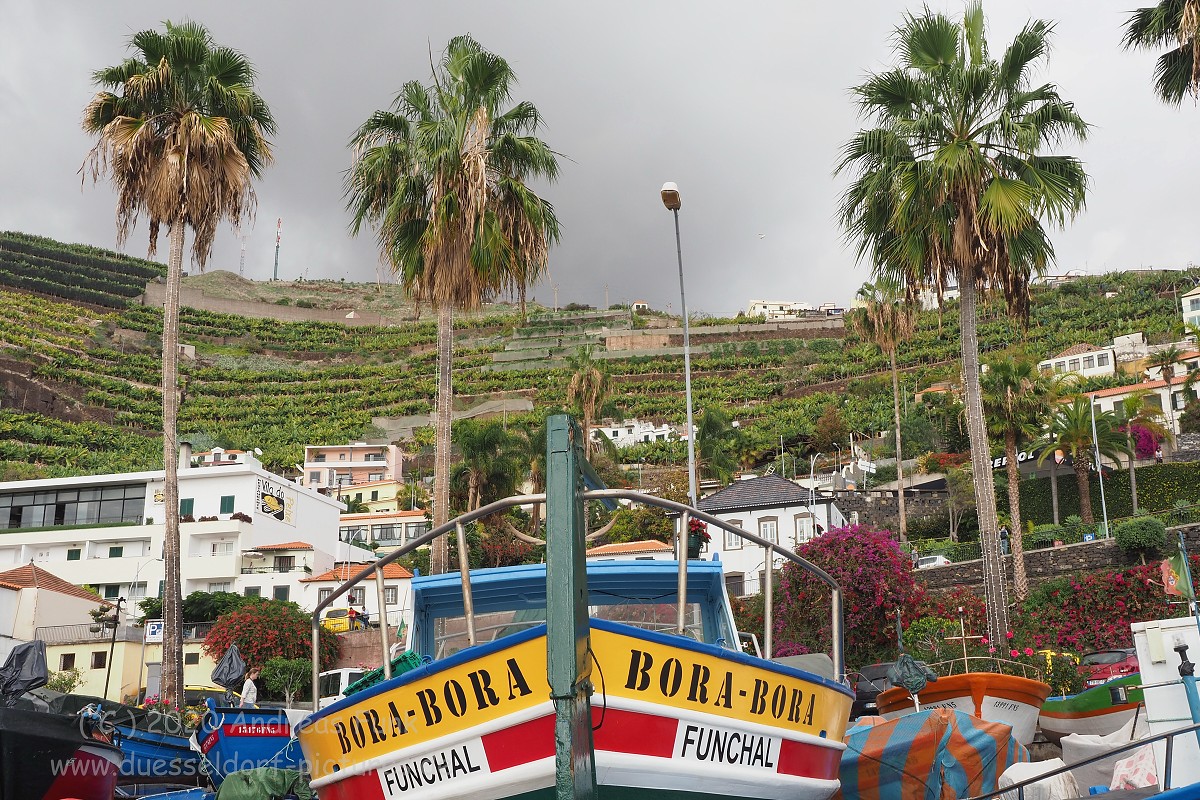 Camara de Lobos,  Madeira