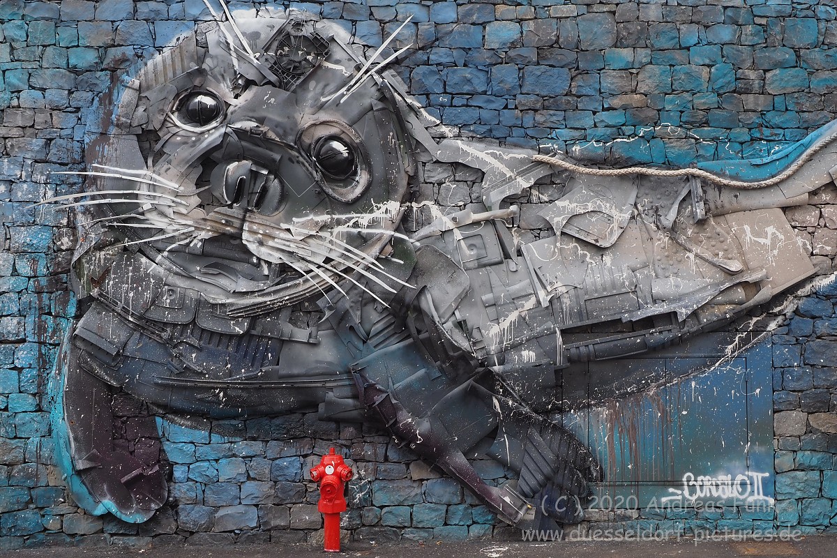 Camara de Lobos,  Madeira
