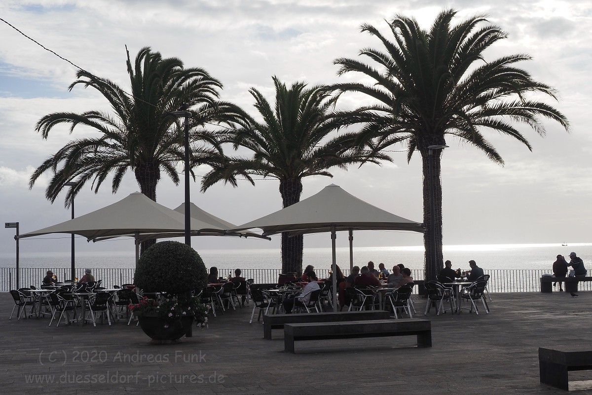 Camara de Lobos,  Madeira