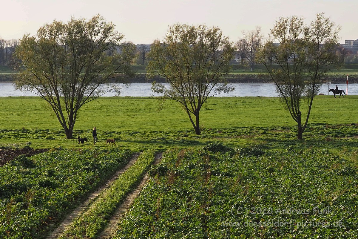 Düsseldorf im Herbst 2020