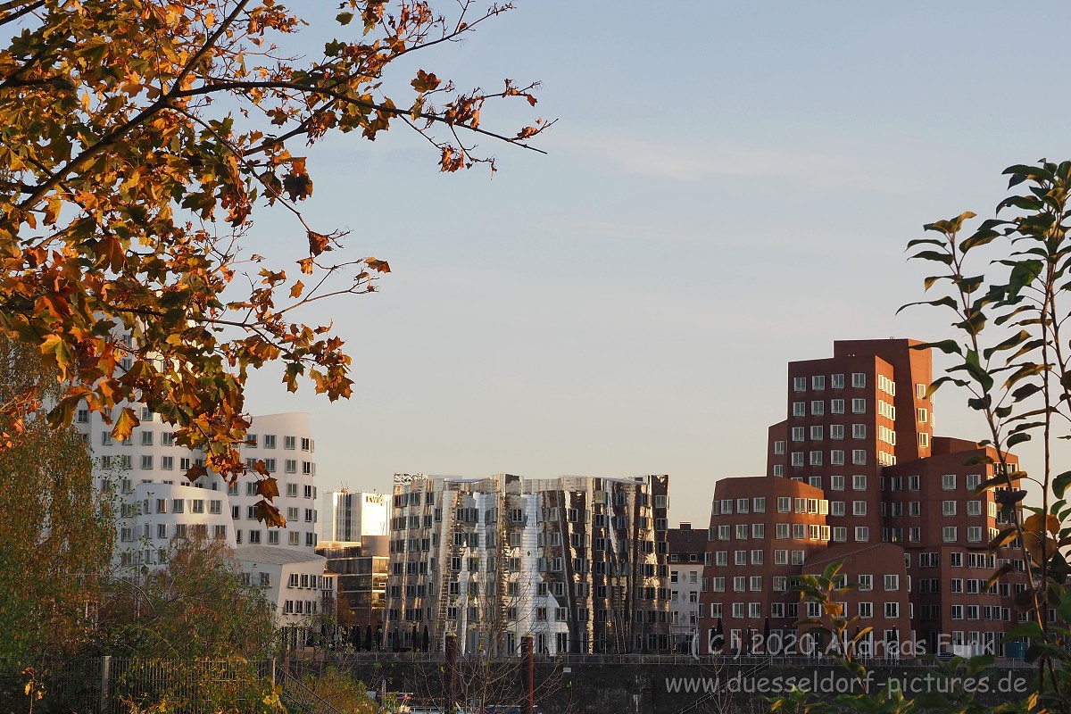 Düsseldorf im Herbst 2020
