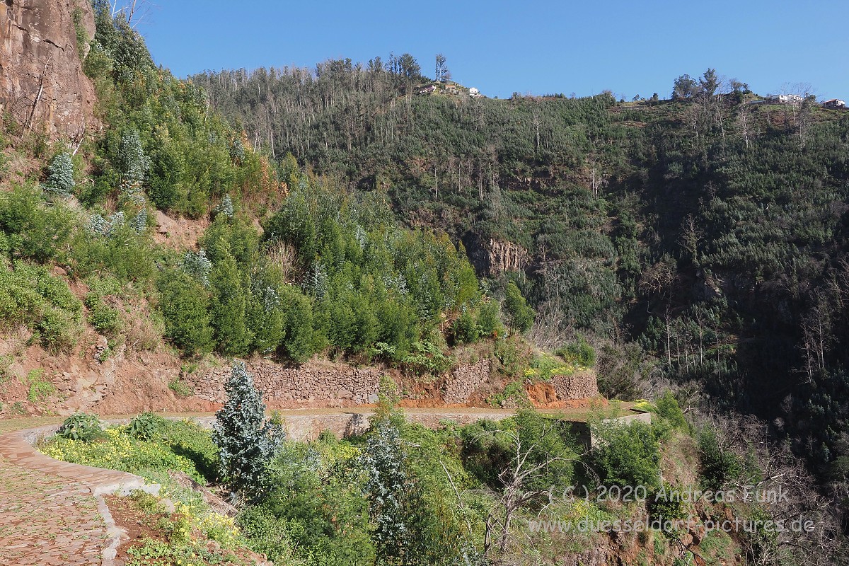 Levada Wanderung Funchal Madeira
