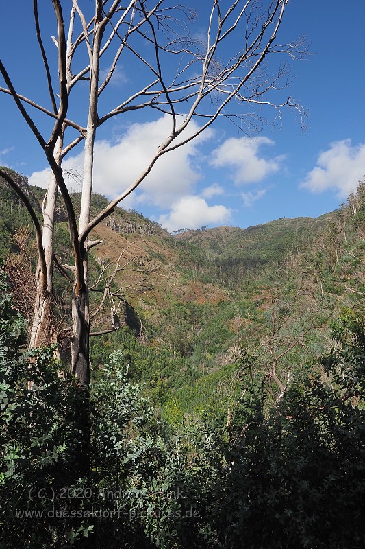 Levada Wanderung Funchal Madeira