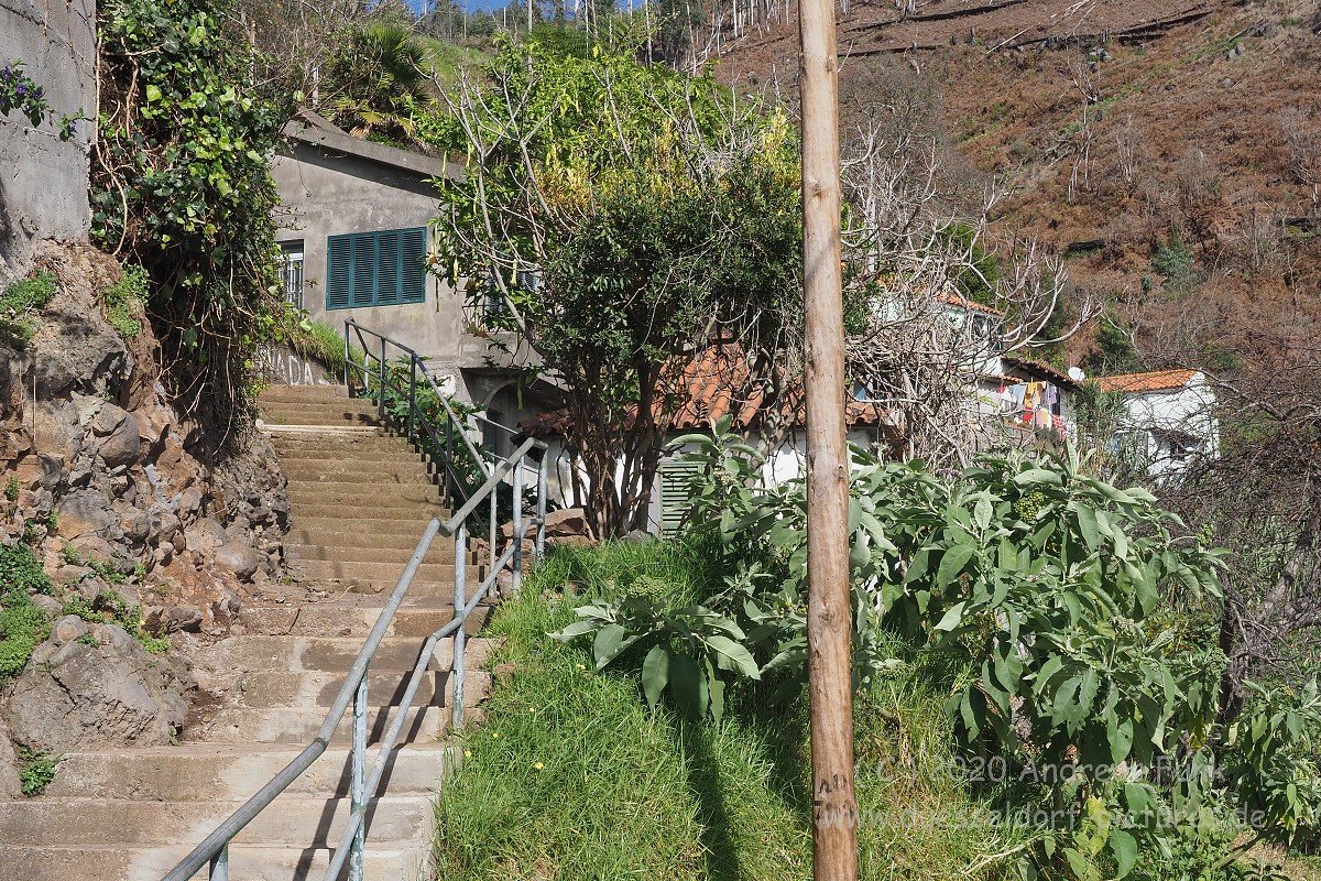 Levada Wanderung Funchal Madeira
