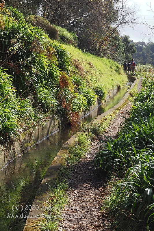 Levada Wanderung Funchal Madeira