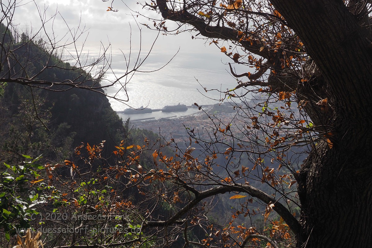 Levada Wanderung Funchal Madeira