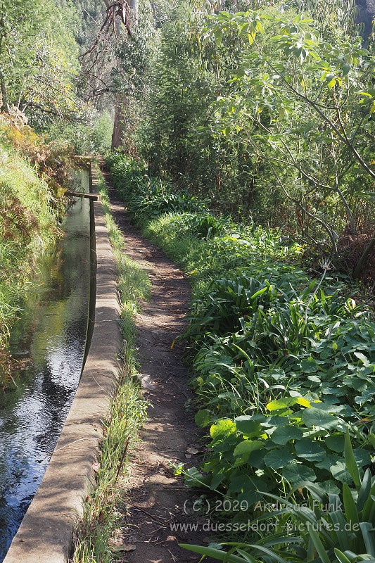 Levada Wanderung Funchal Madeira